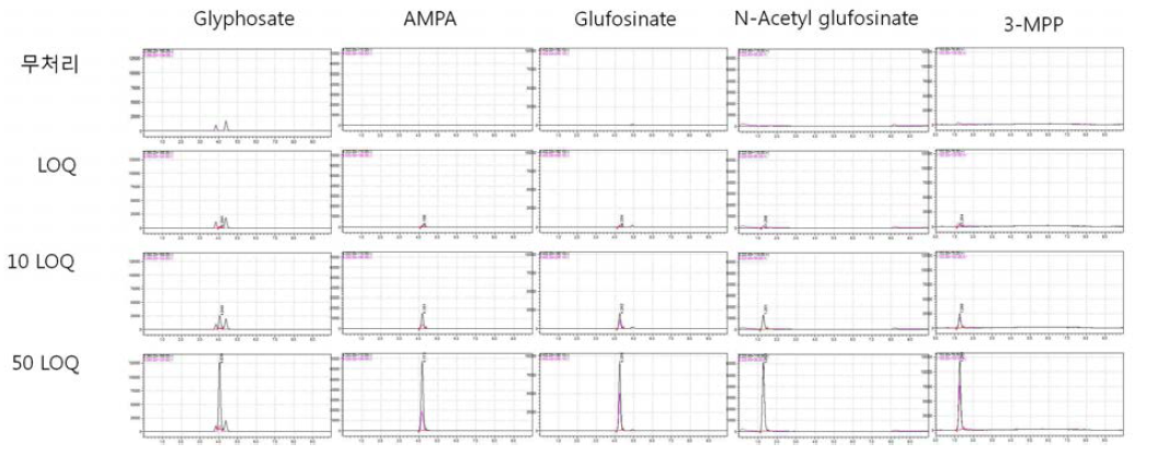 현미-크로마토그램 (무처리, LOQ, 10 LOQ, 50 LOQ)