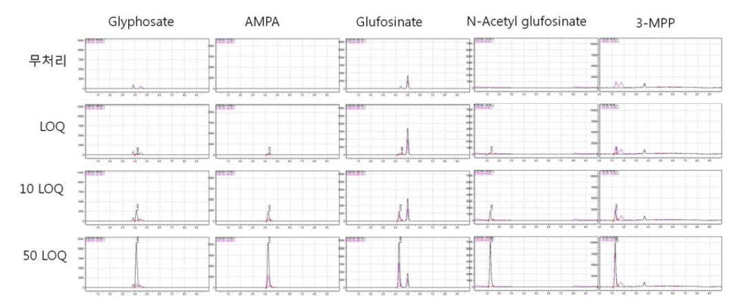 고추-크로마토그램 (무처리, LOQ, 10 LOQ, 50 LOQ)