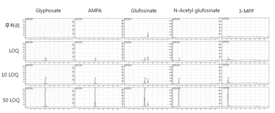 감자-Bentazone 크로마토그램 (무처리, LOQ, 10 LOQ, 50 LOQ)