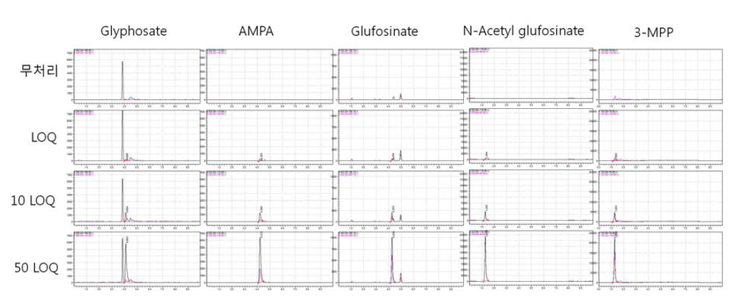 대두-Bentazone 크로마토그램 (무처리, LOQ, 10 LOQ, 50 LOQ)