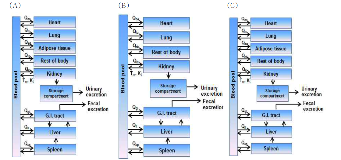 PBPK 기초모델의 구성도 (A: PFHxS, B: PFNA, C: PFDA)