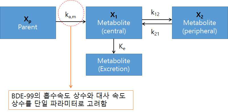 BDE-99의 약동학 모델링 모식도