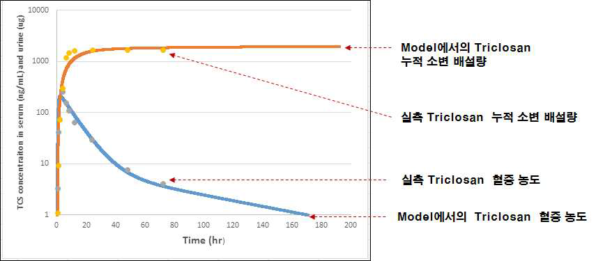 Triclosan의 72시간 PK profile 및 모델의 예측값 비교 (인체 단일 경구투여 72시간 PK 프로파일 (n=1), 4 mg (58.8㎍/kg))