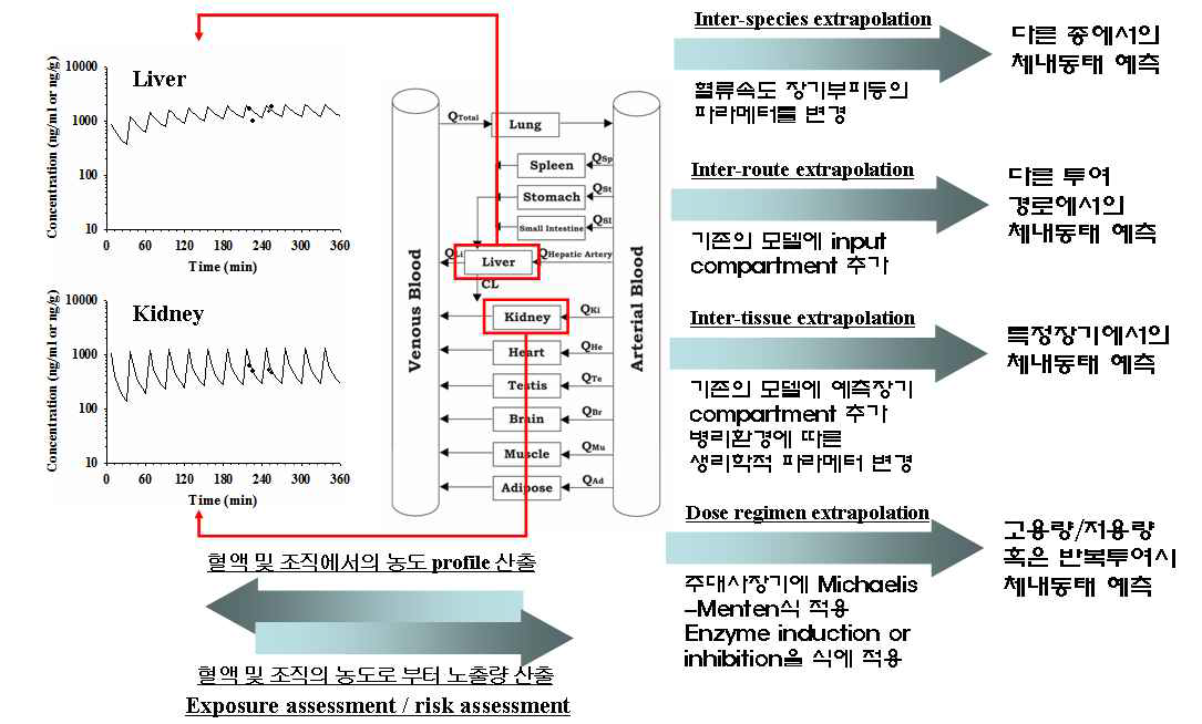 PBPK 모델의 다양한 활용.