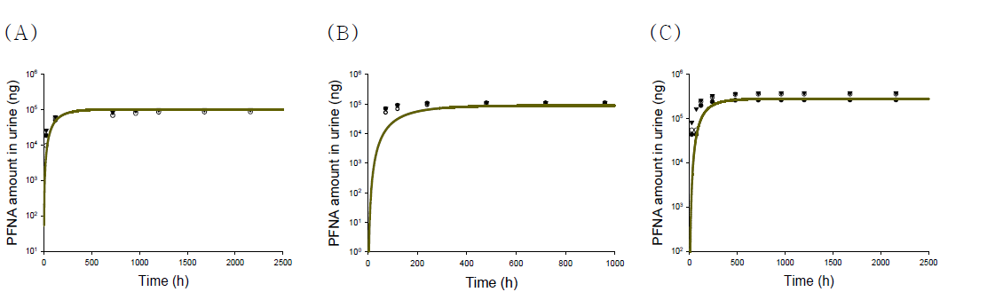 랫트에서 PFNA를 정맥 및 경구 투여 후 뇨 배설량(scatter) 및 확립된 PBPK 모 델을 이용하여 예측된 PFNA 뇨 배설량(line)(A: 1 mg/kg 정맥 투여, B: 1 mg/kg 경구 투여, C: 3 mg/kg 경구 투여)
