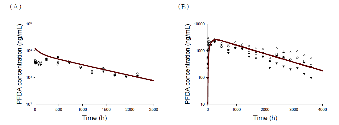 랫트에서 PFDA 1 mg/kg를 정맥 및 경구 투여 후 혈중 농도(scatter) 및 확립 된 PBPK 모델을 이용하여 예측된 PFDA 혈중 농도(line) (A: 정맥 투여, B: 경구 투여)