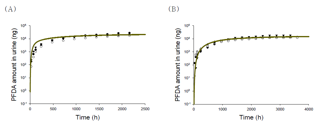 랫트에서 PFDA 1 mg/kg를 정맥 및 경구 투여 후 혈중 농도(scatter) 및 확립된 PBPK 모델을 이용하여 예측된 PFDA 뇨 배설량(line) (A: 정맥 투여, B: 경구 투여)