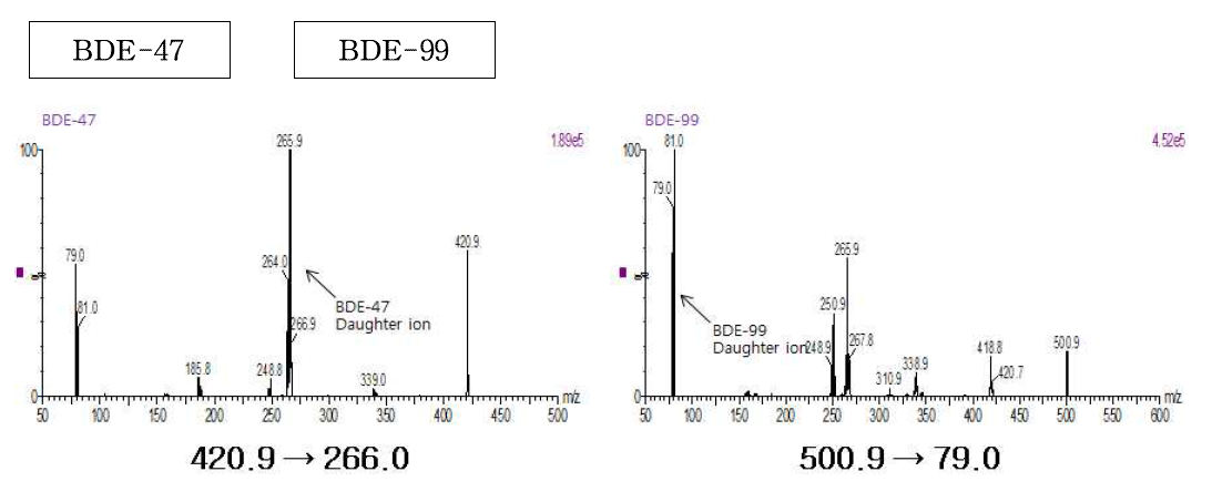 BDE-47과 BDE-99의 MS 스펙트럼