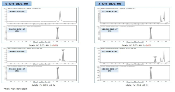 혈장 검체 중 BDE-99 대사체의 대표 크로마토그램