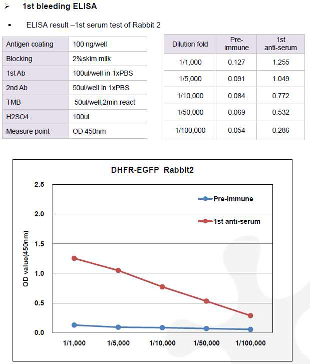 CHO DXB11-DHFR-EGFP-pcDNA3.1(+) 숙주유래단백질에 대한 토끼 2번의 항체 생성 1차 확인 결과