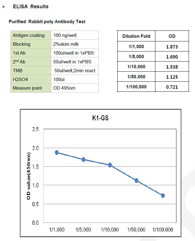 CHO K1-GS-pcDNA3.1(+) ELISA Results