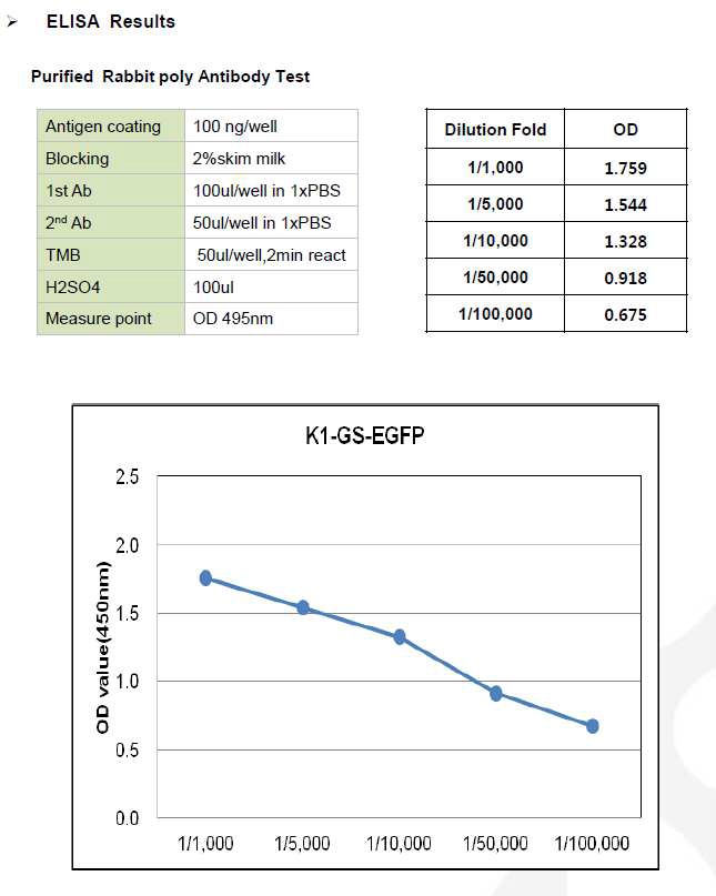 CHO K1-GS-EGFP-pcDNA3.1(+) ELISA Results