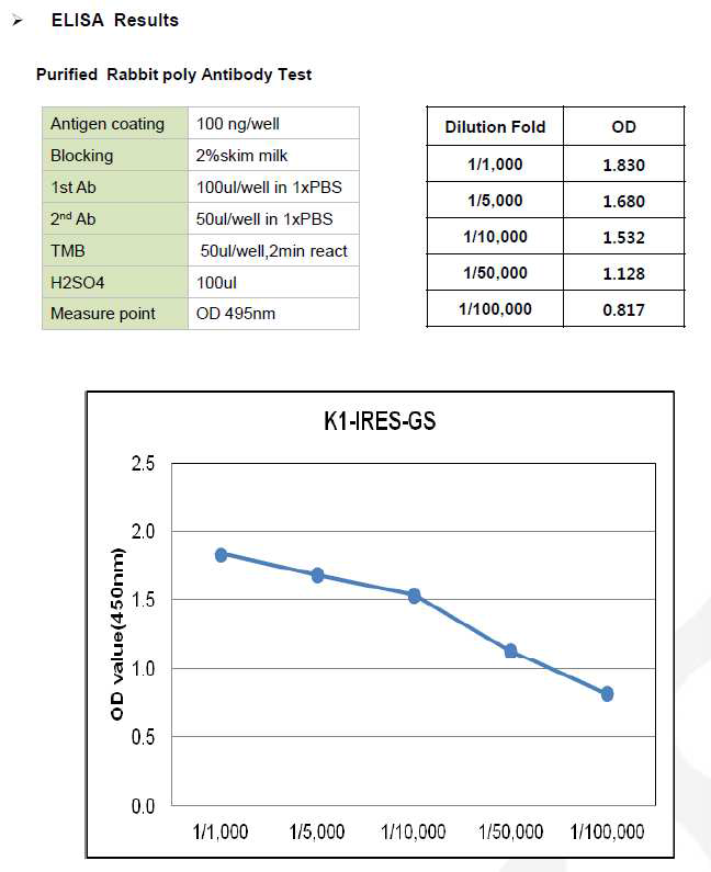 CHO K1-GS-IRES-pcDNA3.1(+) ELISA Results