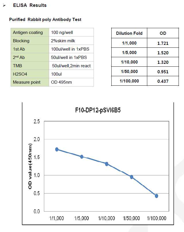 CHO DP12-DHFR-pSVI6B5 ELISA Results