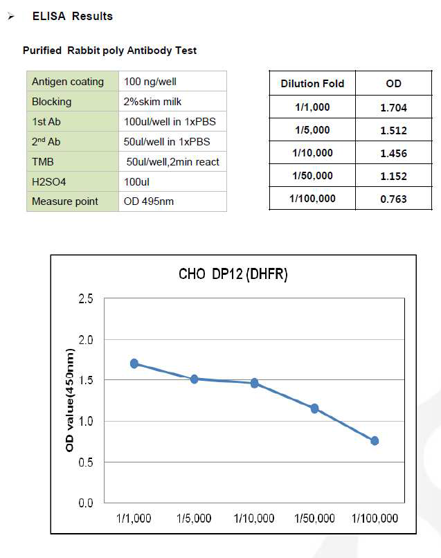 CHO DP12-DHFR-pcDNA3.1(+) ELISA Results