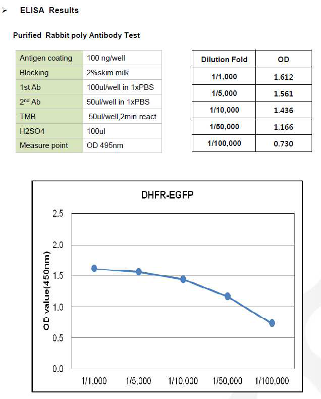 CHO DP12-DHFR-EGFP-pcDNA3.1(+) ELISA Results