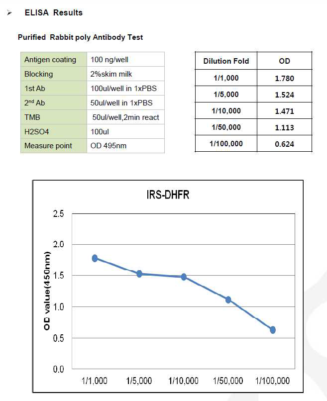 CHO DP12-DHFR-IRES-pcDNA3.1(+) ELISA Results