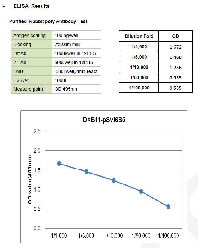 CHO DXB11-DHFR-pSVI6B5 ELISA Results