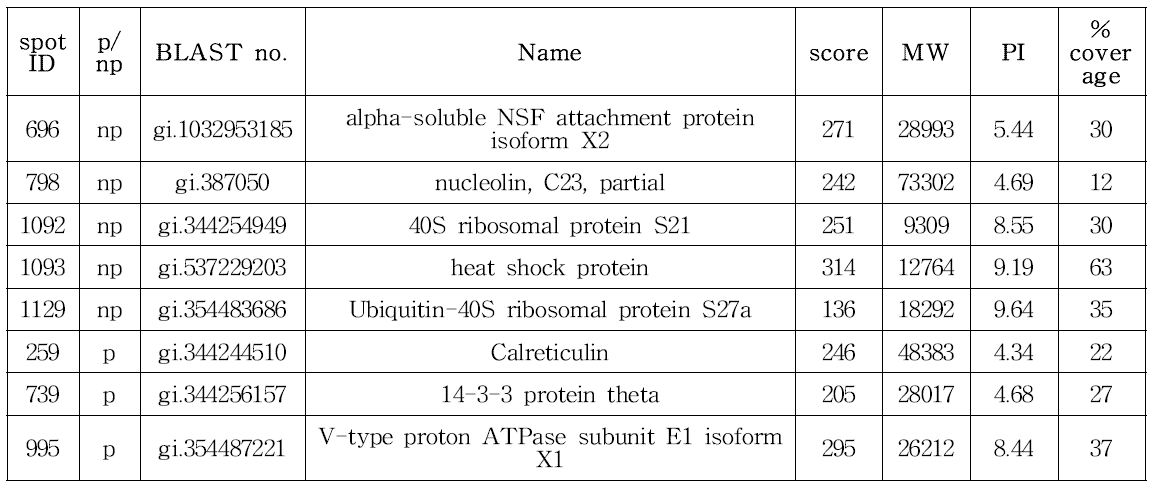 CHO K1-GS-pcDNA3.1(+) spot 분석 결과