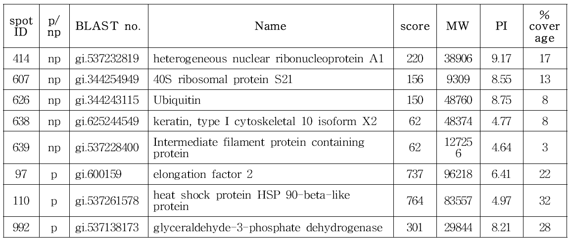 CHO K1-GS-EGFP-pcDNA3.1(+) spot 분석 결과