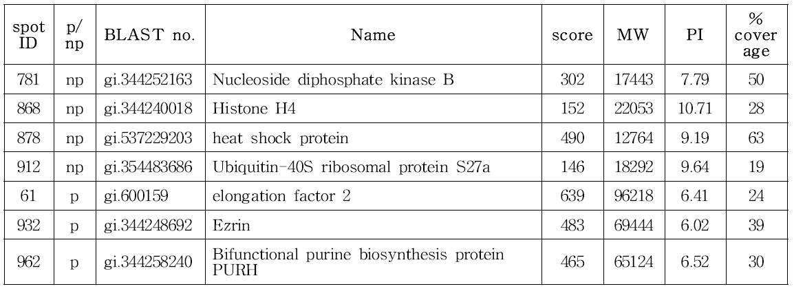 CHO DP12-DHFR-pSVI6B5 spot 분석 결과