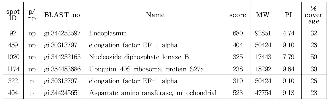 CHO DP12-DHFR-IRES-pcDNA3.1(+) spot 분석 결과