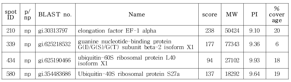 CHO DXB11-DHFR-EGFP-pcDNA3.1(+) spot 분석 결과