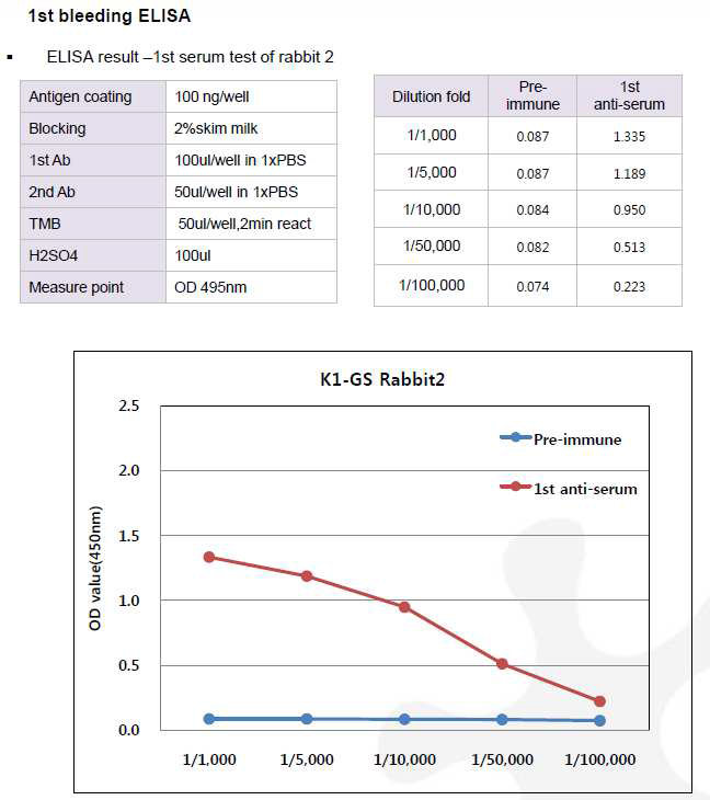 CHO K1-GS-pcDNA3.1(+) 숙주유래단백질에 대한 토끼 2번의 항체 생성 1차 확인 결과