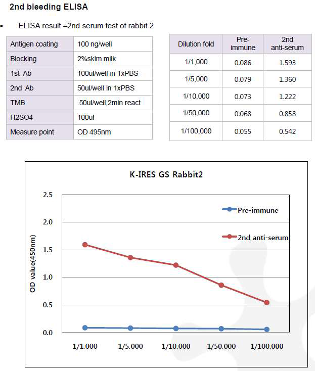 CHO K1-GS-IRES-pcDNA3.1(+) 숙주유래단백질에 대한 토끼 2번의 항체 생성 2차 확인 결과