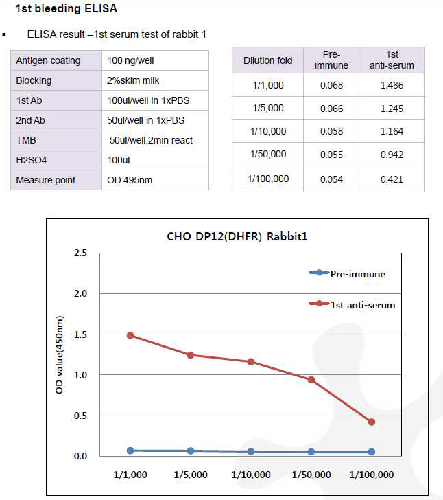CHO DP12-DHFR-pcDNA3.1(+) 숙주유래단백질에 대한 토끼 1번의 항체 생성 1차 확인 결과