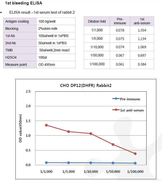 CHO DP12-DHFR-pcDNA3.1(+) 숙주유래단백질에 대한 토끼 2번의 항체 생성 1차 확인 결과