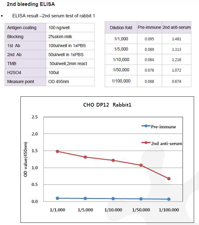 CHO DP12-DHFR-pcDNA3.1(+) 숙주유래단백질에 대한 토끼 1번의 항체 생성 2차 확인 결과