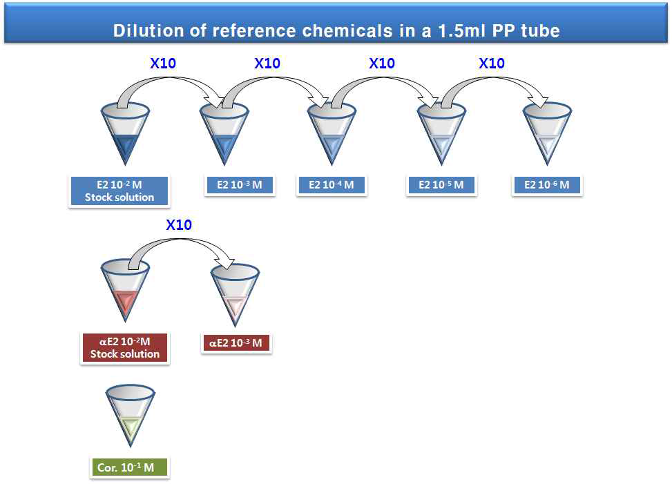 1.5 mL PP tube에서 표준물질의 희석 과정