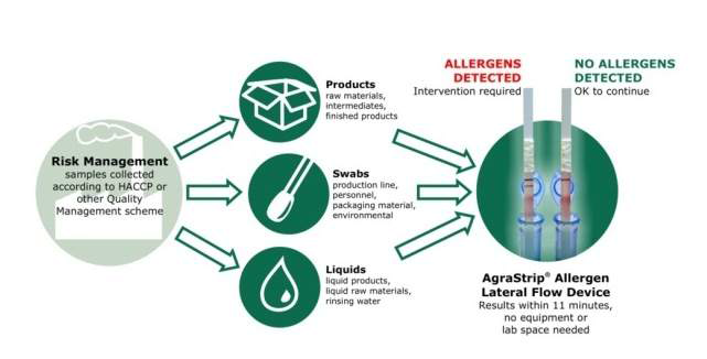Dipstick test를 이용한 식품 알레르겐 검출