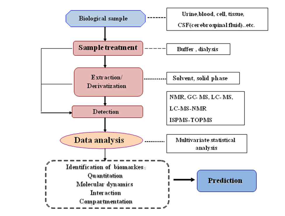 Schematic diagram of the procedure for metabolomic approach