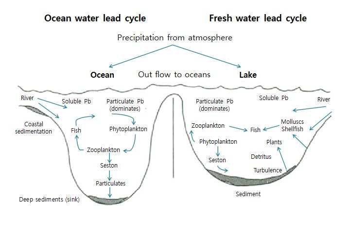 담수 및 해수 생태계 내 납의 biogeochemical cycle