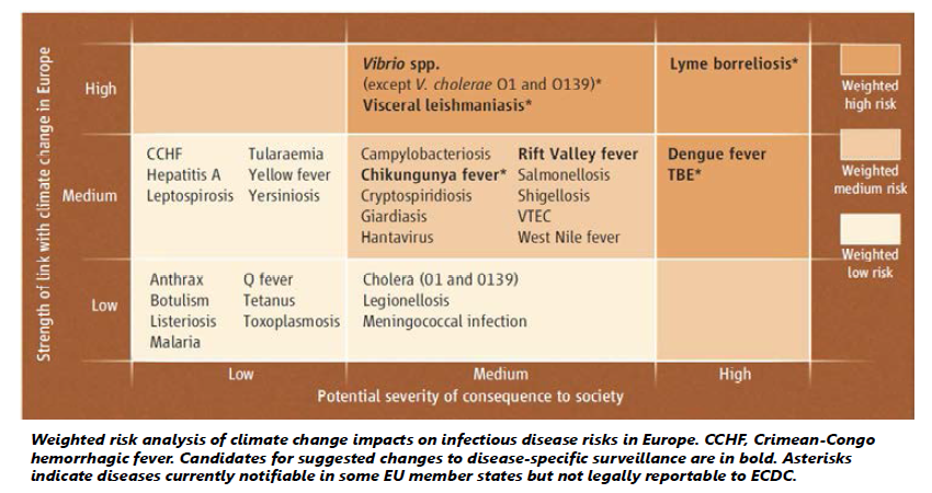 기후변화에 따른 전염병 위해도에 대한 위해 분석 예시(Matrix 분석 이용)