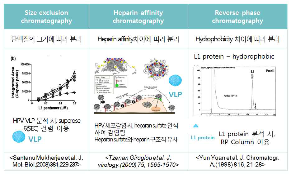 Size-exclusion chromatography, Heparin affinity chromatography, Reverse-phase chromatography법