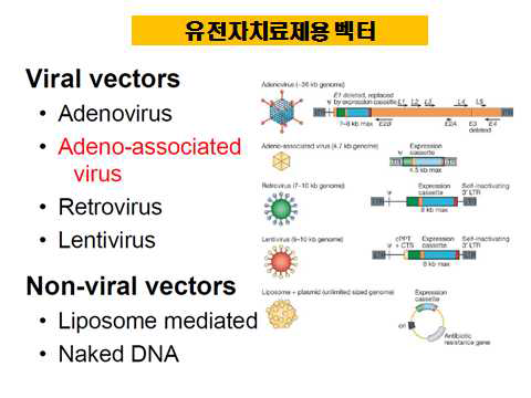 유전자치료제용 벡터의 종류