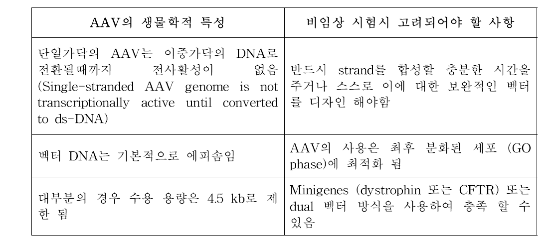 비임상 시험 디자인에서 고려되어야 할 AAV의 생물학적 특성