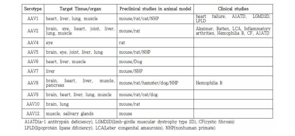 AAV의 serotype 별 표적장기 및 비임상시험/임상시험 실시 사례