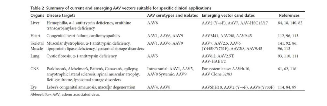 특정 질환에 적용한 AAV 벡터