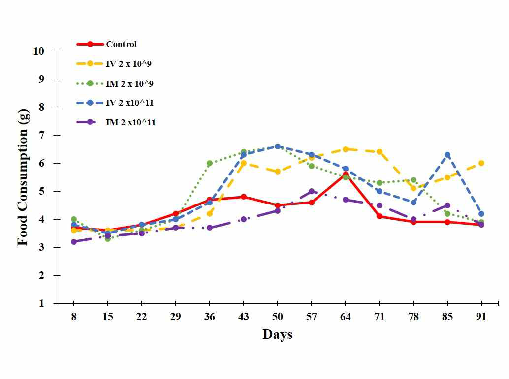투여 그룹의 사료섭취량 변화