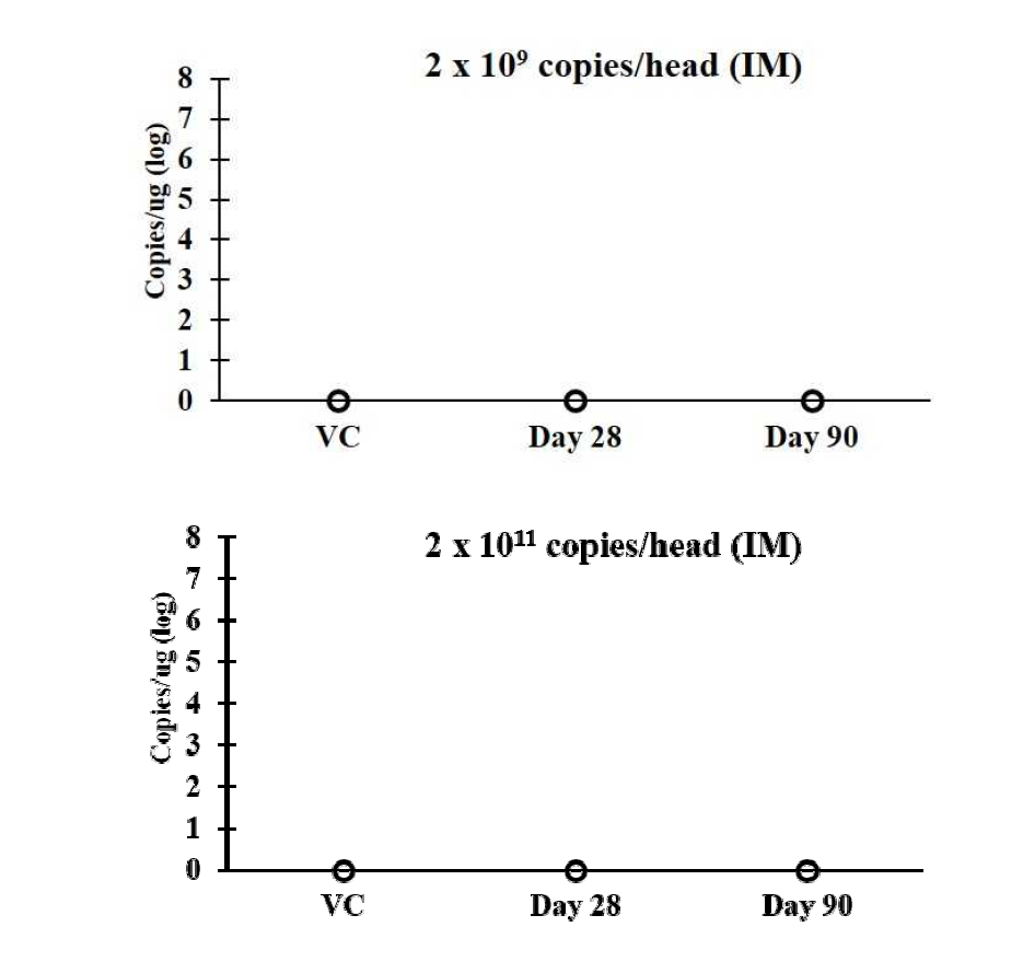 IM 투여군의 Urine의 shedding 분석 결과