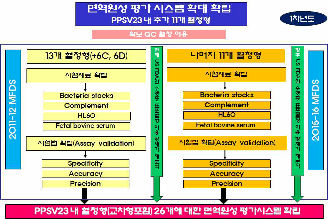 1차 연도