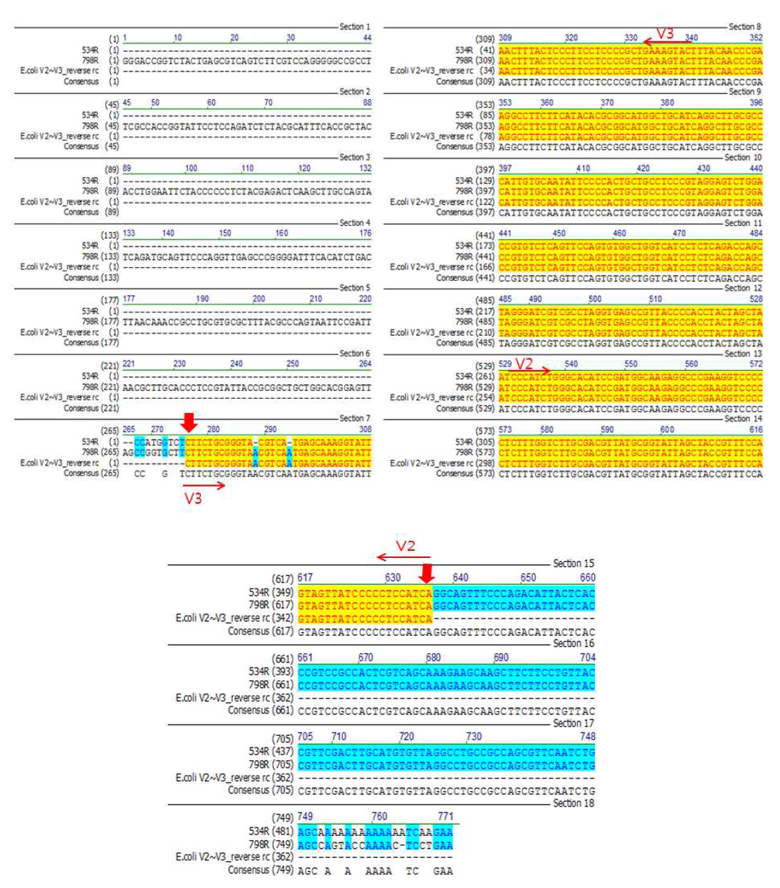 NEB 10-beta E . coli의 original cell identification 시험법 개발 결과.