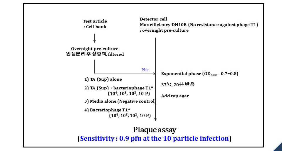 Bacteriophage detection 시험법 개발 전략도 – direct phage detection