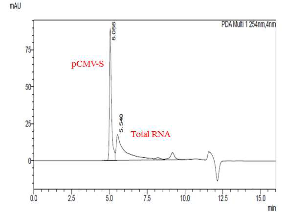 pCMV-S와 total RNA의 chromatogram
