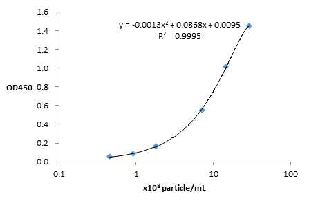 Standard curve의 verification