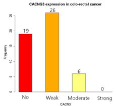 CCRT받은 대장암환자 조직에 서의 CACNG3 발현